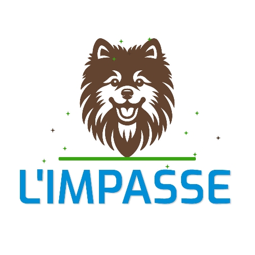Logo L'IMPASSE